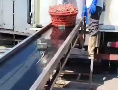 Video of belt conveyor test run